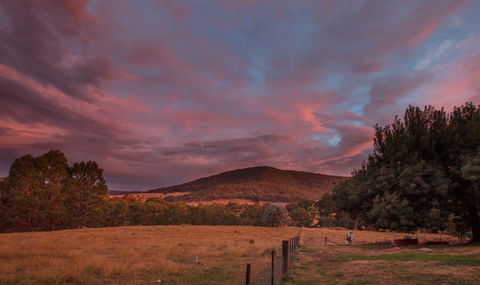 Pound Creek Gallery - QLD Tourism 28