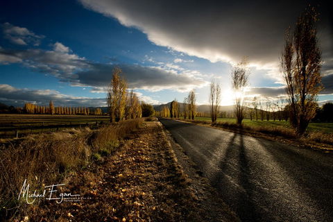 Pound Creek Gallery - QLD Tourism 19