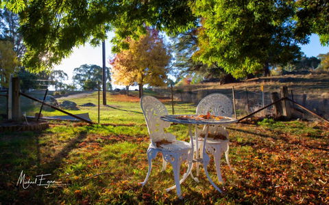 Pound Creek Gallery - QLD Tourism 27
