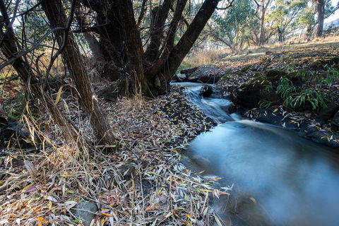 Pound Creek Gallery - QLD Tourism 26
