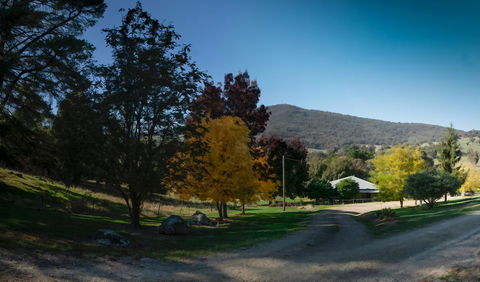 Pound Creek Gallery - QLD Tourism 7
