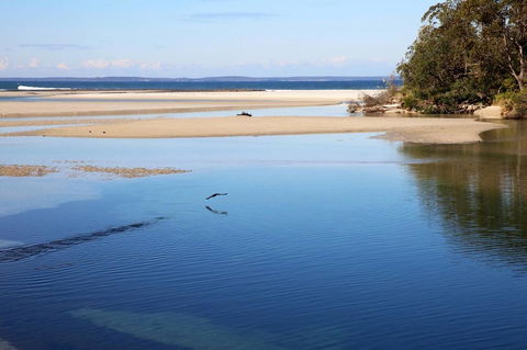 Jervis Bay Beach Shack I Pet Friendly - QLD Tourism 19