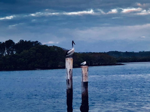 Boathouse Resort (Water Front) - QLD Tourism 15