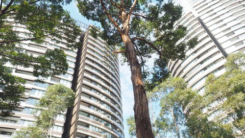 SkyGarden Sydney Olympic Park 3 & 4 Bedroom City View - Queensland Tourism 33