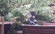 Lark Cottage - thumb 19