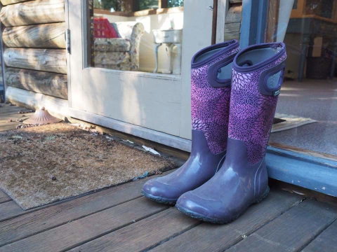 Lark Cottage - QLD Tourism 8