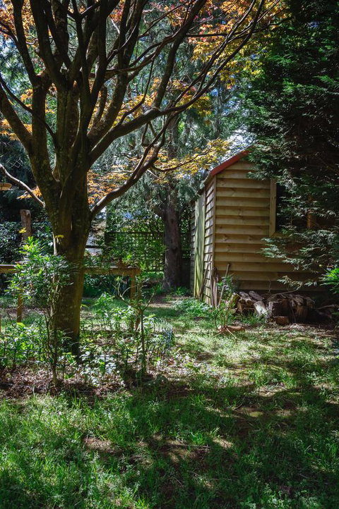 Lark Cottage - QLD Tourism 31