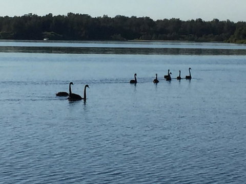Swan Bay Hideaway - QLD Tourism 7