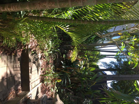 Swan Bay Hideaway - QLD Tourism 9