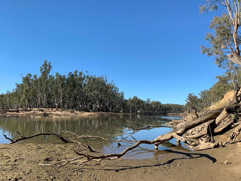 Corowa Bindaree Holiday Park - Queensland Tourism 1