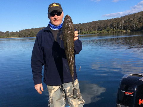 Como Lodge - QLD Tourism 22