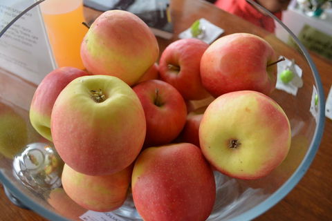 The Apple Inn - QLD Tourism 12