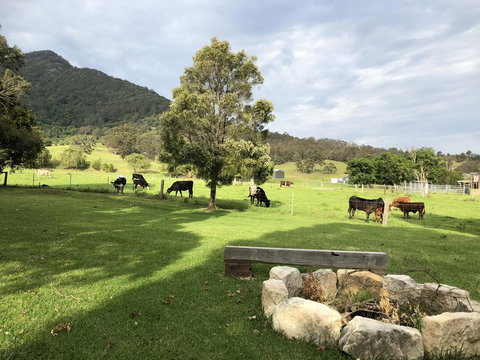 Arcadia - The Barn Cottage & Rosehill Cottage - Queensland Tourism 29
