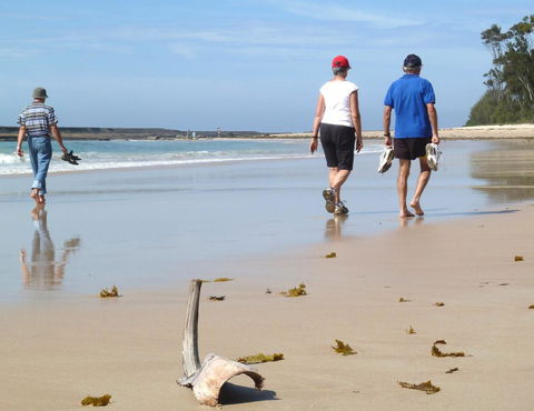 Mollymook Surfbeach Motel & Apartments - QLD Tourism 13