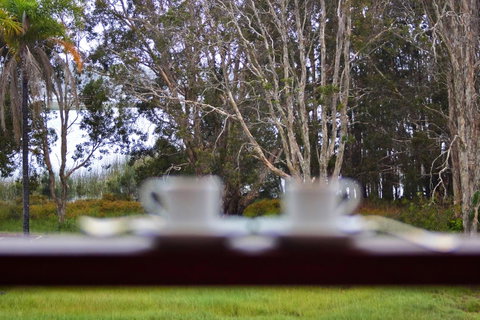 Estoy Cabarita - QLD Tourism 6