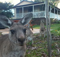 Bush  Bay Cottage - QLD Tourism