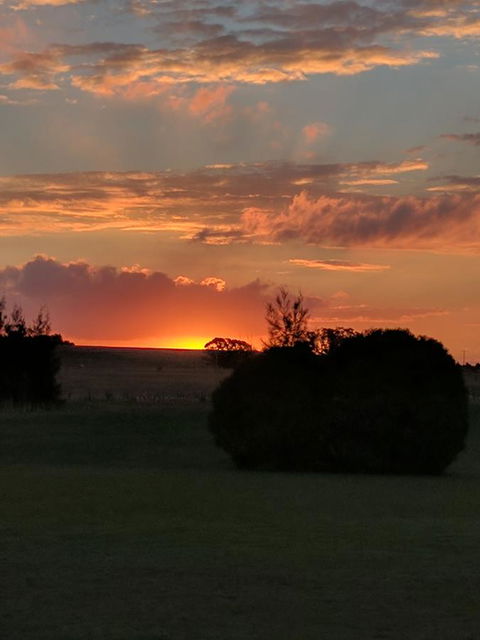 Madigan Wine Country Cottages - Queensland Tourism 13