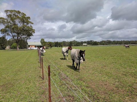 Madigan Wine Country Cottages - Queensland Tourism 9