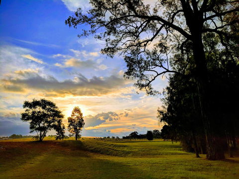 Madigan Wine Country Cottages - Queensland Tourism 11