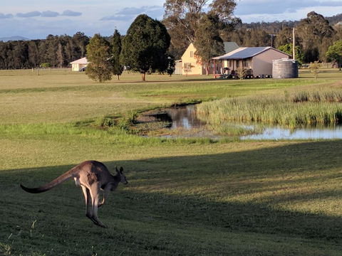 Madigan Wine Country Cottages - Queensland Tourism 6