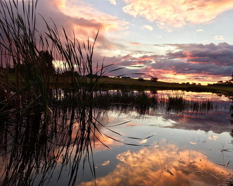 Madigan Wine Country Cottages - Queensland Tourism 16