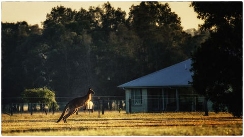 Madigan Wine Country Cottages - Queensland Tourism 5