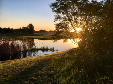 Madigan Wine Country Cottages - Queensland Tourism 17