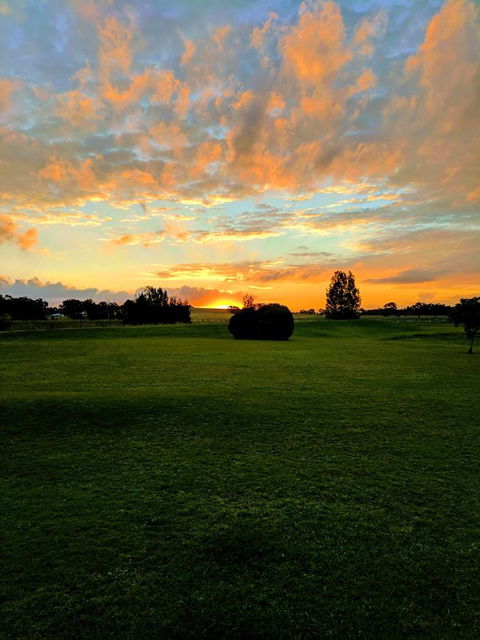 Madigan Wine Country Cottages - Queensland Tourism 12