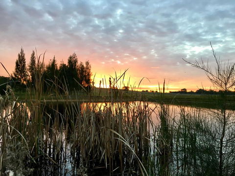 Madigan Wine Country Cottages - Queensland Tourism 14