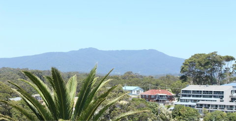 Narooma Palms Holiday Apartments - QLD Tourism 4