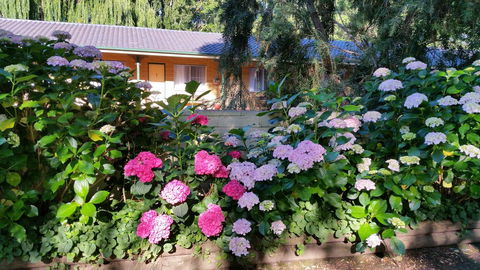 Moruya Motel - QLD Tourism 28