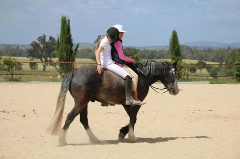 Belisi Farmstay Cottage - QLD Tourism 28