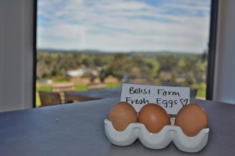 Belisi Farmstay Cottage - QLD Tourism 20