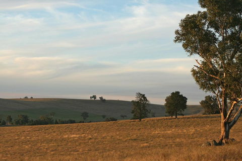 Belisi Farmstay Cottage - QLD Tourism 33