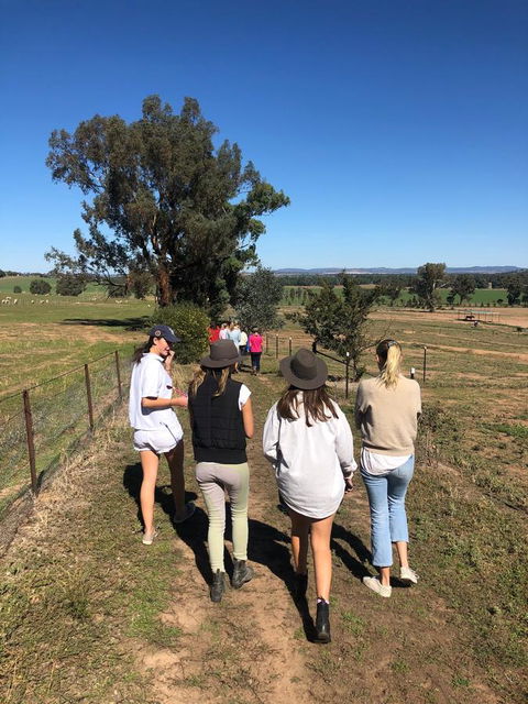 Belisi Farmstay Cottage - QLD Tourism 7