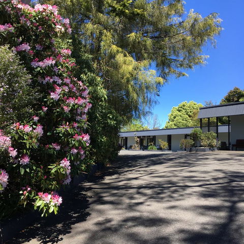 Sky Rider Motor Inn - QLD Tourism 24
