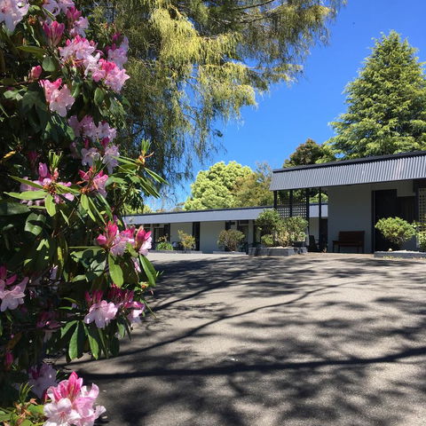 Sky Rider Motor Inn - QLD Tourism 14