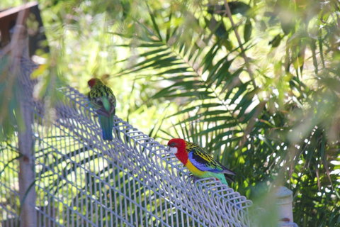 Marty's @ Little Beach - QLD Tourism 27