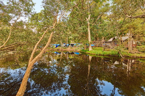 Arts Factory By Nomads - Queensland Tourism 12