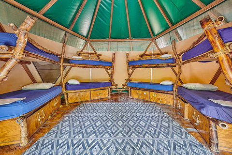 Arts Factory By Nomads - Queensland Tourism 4