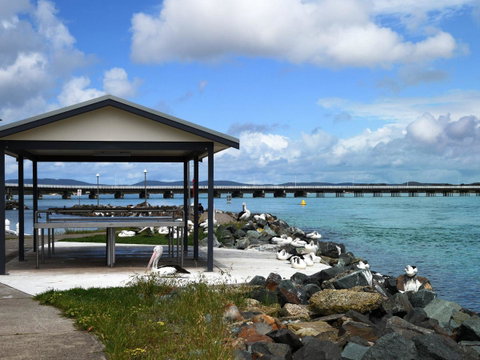 11 Peel Street - QLD Tourism 5