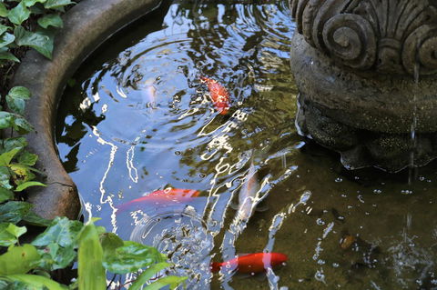Manor Boutique Hotel Sydney - Queensland Tourism 25