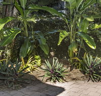 Nineteen on Nudl - QLD Tourism