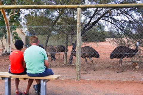 Erldunda Desert Oaks Resort - QLD Tourism 21