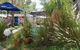 Alice\'s Secret Travellers Inn - thumb 22