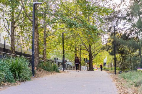 Highgate Executive Apartment City Walk Canberra - QLD Tourism 39