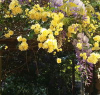 Bowral Road Bed and Breakfast - Queensland Tourism