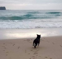 Breakers at Mudjimba Beach - QLD Tourism