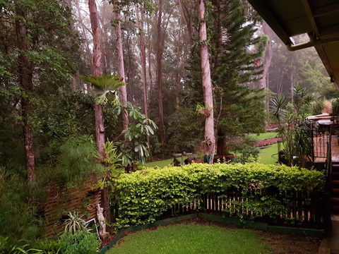 Buderim Forest Hideaway - QLD Tourism 2