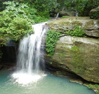 Buderim Forest Hideaway - QLD Tourism
